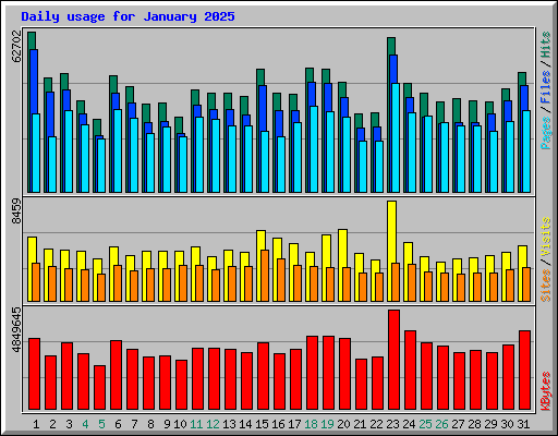 Daily usage for January 2025