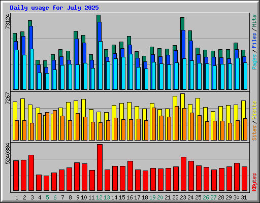 Daily usage for July 2025