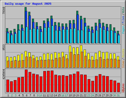 Daily usage for August 2025