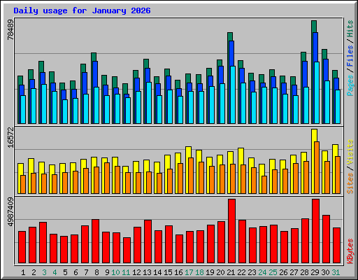 Daily usage for January 2026