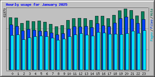 Hourly usage for January 2025