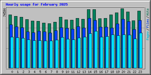 Hourly usage for February 2025