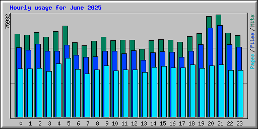 Hourly usage for June 2025