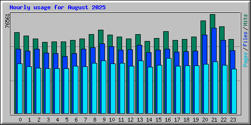 Hourly usage for August 2025