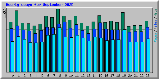 Hourly usage for September 2025