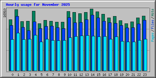 Hourly usage for November 2025