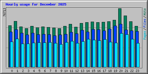 Hourly usage for December 2025