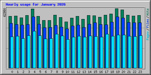Hourly usage for January 2026